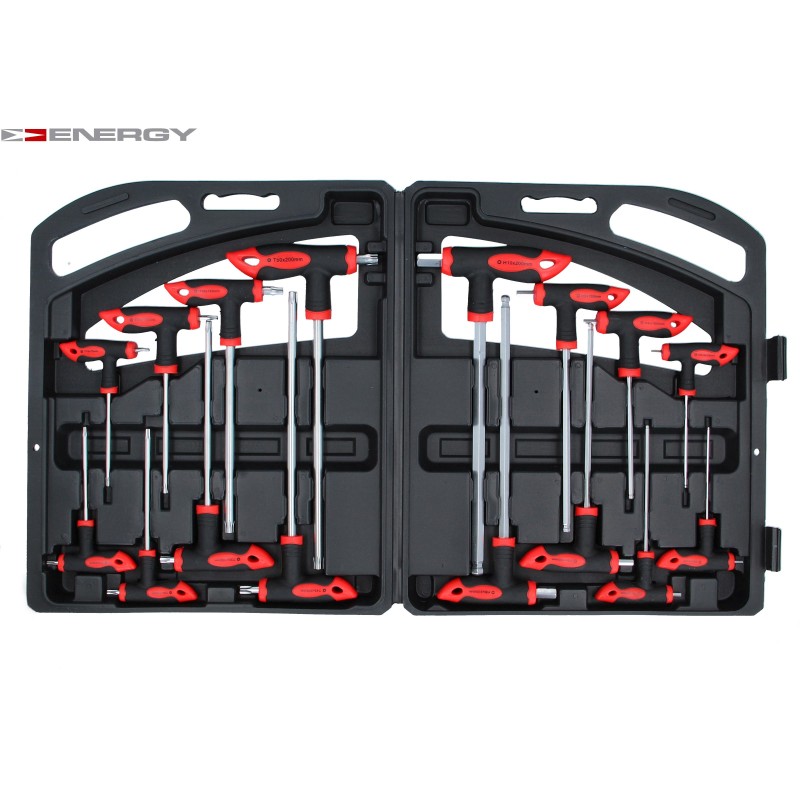 Zestaw kluczy śrubokrętów torx i imbus NE00189