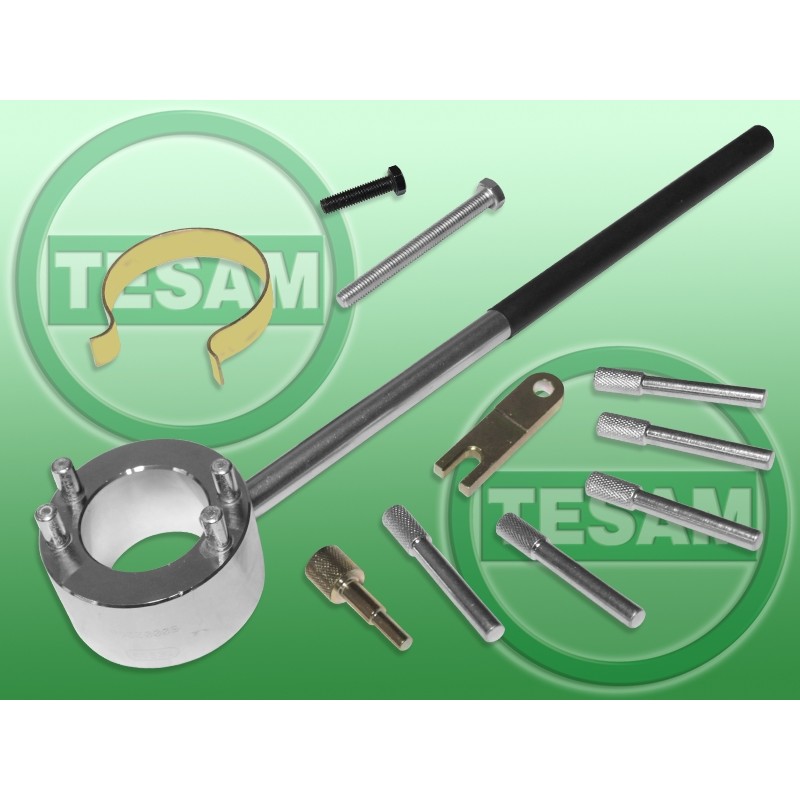 Blokada rozrządu - zestaw - Citroen / Peugeot / Renault 3.0 V6 S0002266