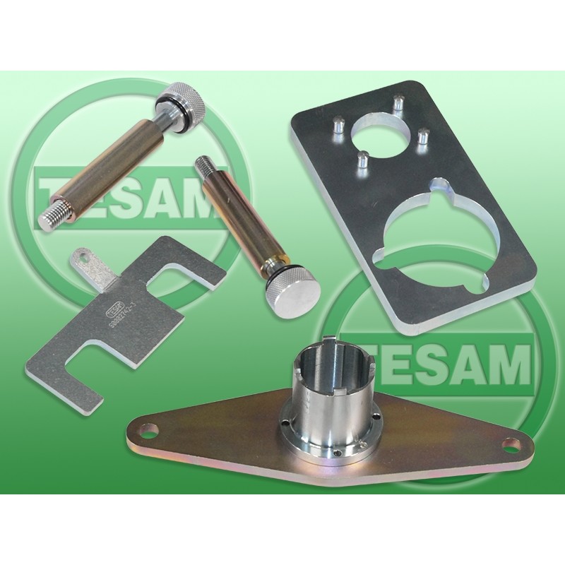 Blokada rozrządu Jaguar / Land Rover / Range Rover 2.0 D S0002742